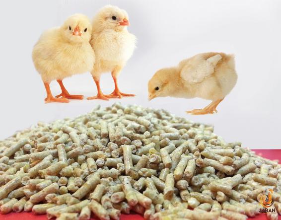 What are the ingredients for poultry feed?